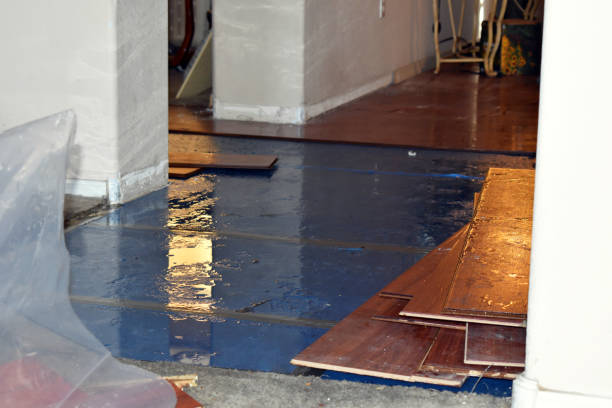Professional Water Damage Restoration technician working in Pound, WI